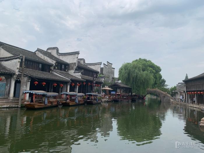 救援小巨鳄